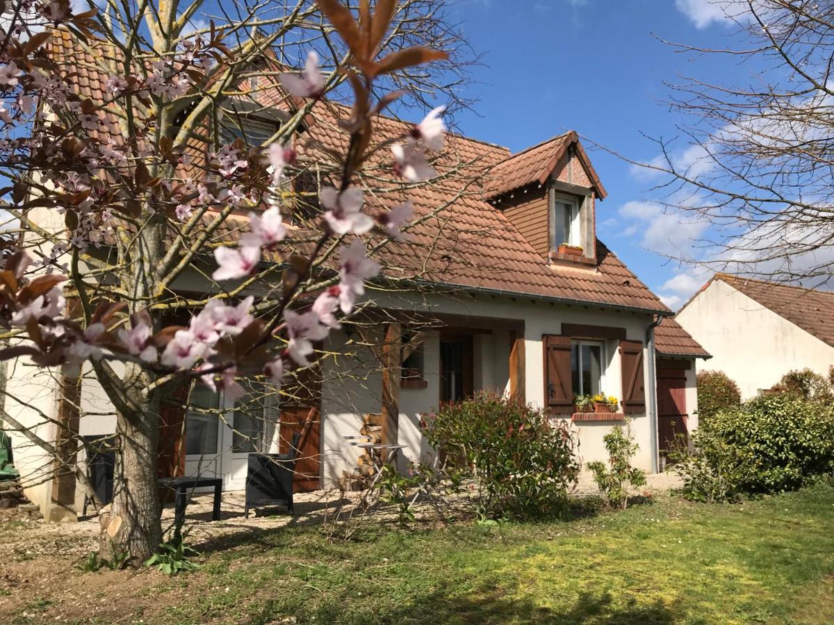 Au Coeur Des Chateaux Cheverny Bagian luar foto